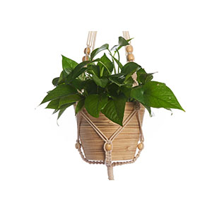 Macrame