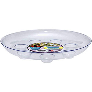 Saucers / Trays & Caddies